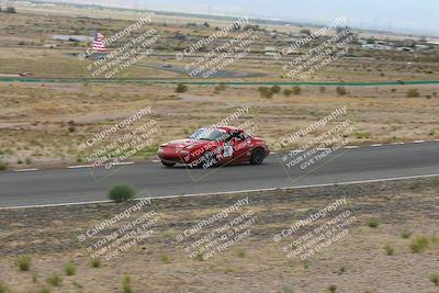 media/May-03-2025-Lucky Dog Racing (Sat) [[206de64b9d]]/Turn 6 (150pm-230pm)/